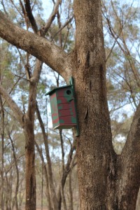 Mounted nest box