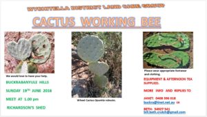 Cactus working Bee